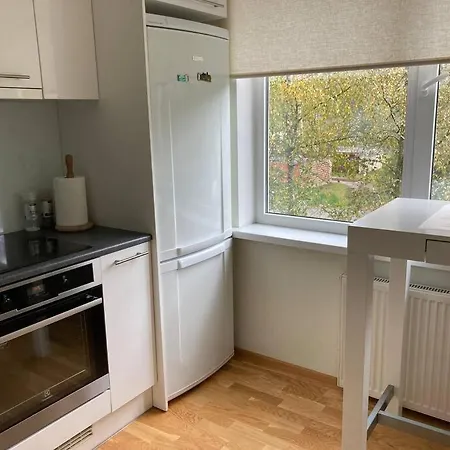 Apartment Stylish And Warm 2-room Appartement.
