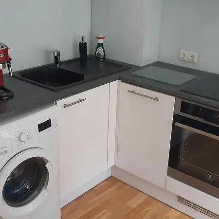 Apartment Stylish And Warm 2-room Appartement. Voru